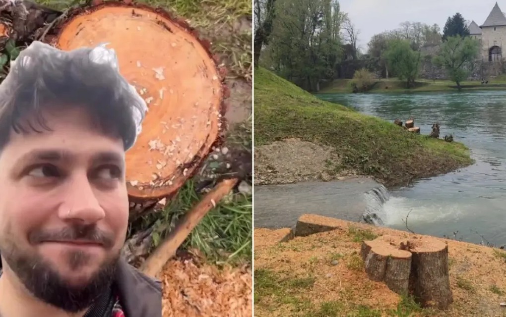 Influenser prozvao Stanivukovića zbog sječe stabala na Vrbasu: Pa je*o ja majku, ko ste vi ljudi?