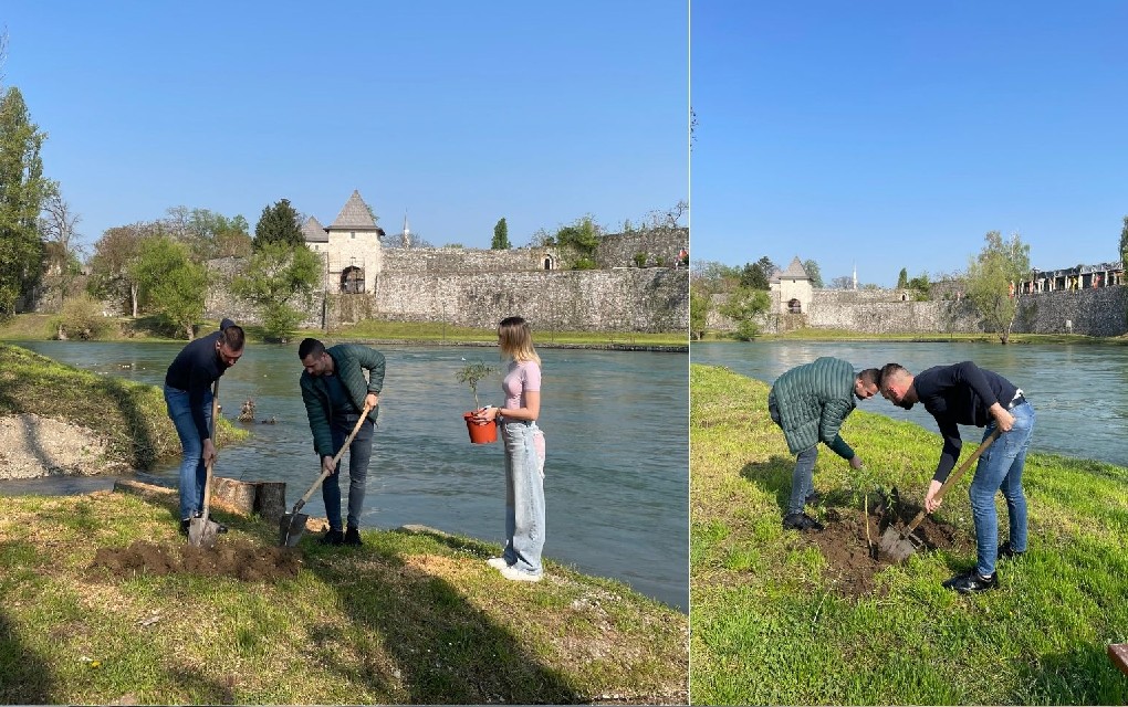 Mladi zasadili šest vrba uz Vrbas: Nakon sječe 25 stabala traži se odgovornost