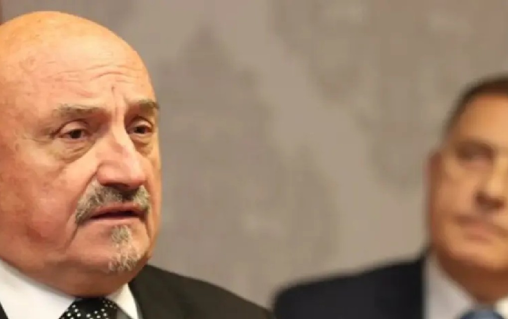 Petronijević: Neophodan kontinuiran diplomatski pritisak na UN zbog generala Mladića