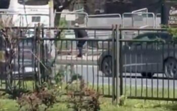 pucnjava kod konzulata