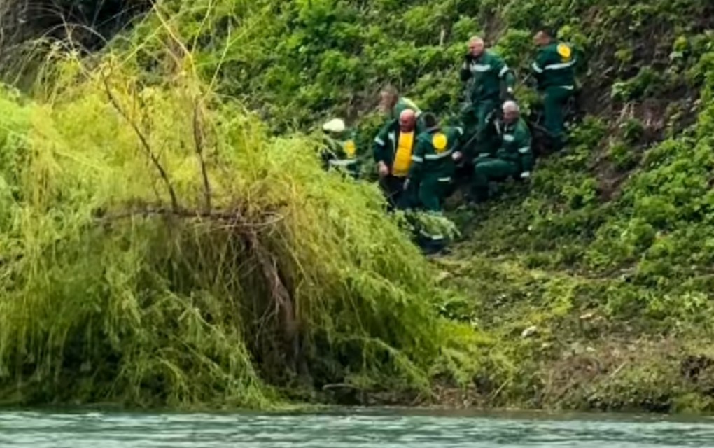 Vipotnik: Sječa stabala u Banjaluci rezultat samovolje i neznanja