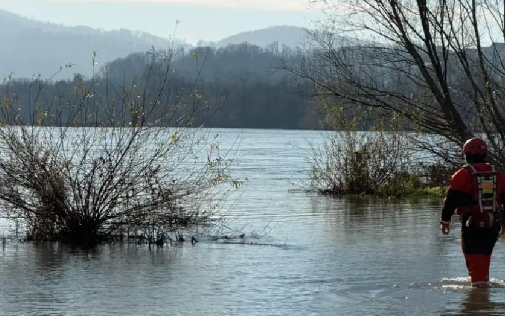 Dječak nestao u Drini kod Branjeva: U toku opsežna potraga