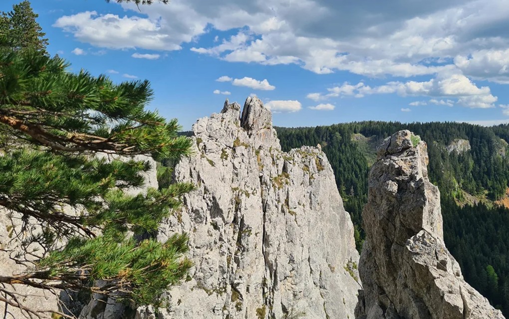 Muškarac nastradao prilikom pada sa Crvenih stijena na Romaniji