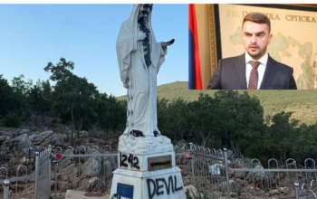 davor pranjić