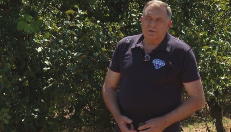 dodik berba sljiva