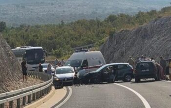 udes kod stoca