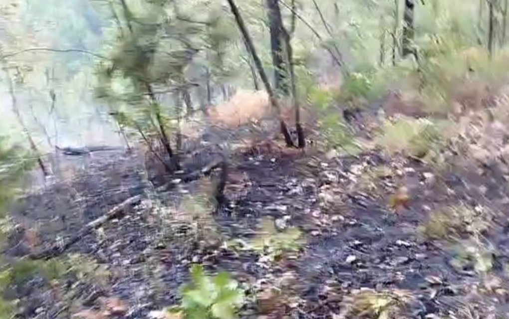 Vatrogasci cijelu noć gasili požar u Vrbanji, situacija bolja jutros