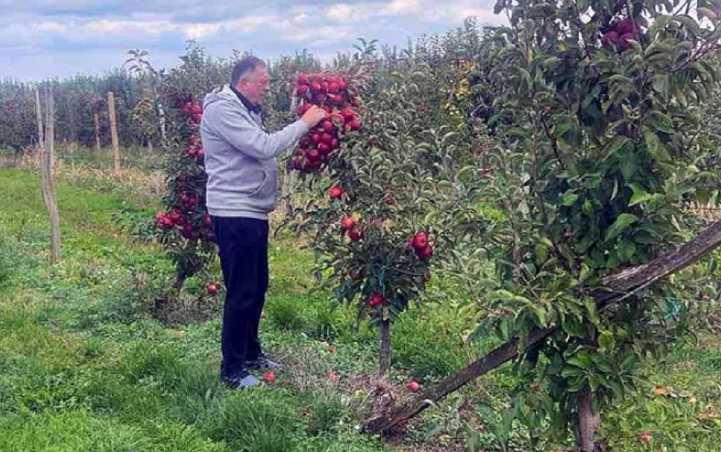 Dodikova simbolična poruka iz voćnjaka