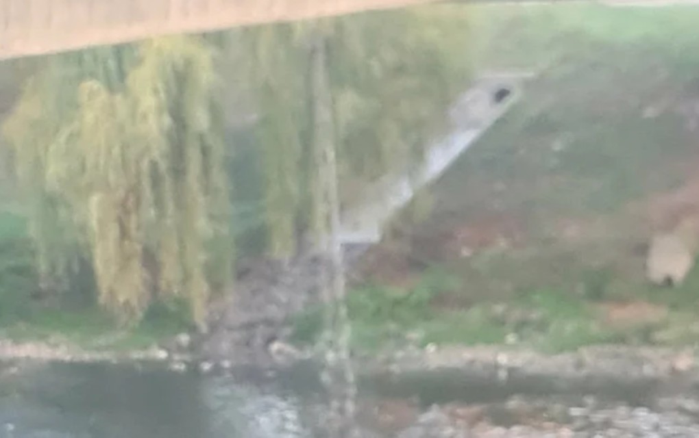Curi voda sa mosta Venecija