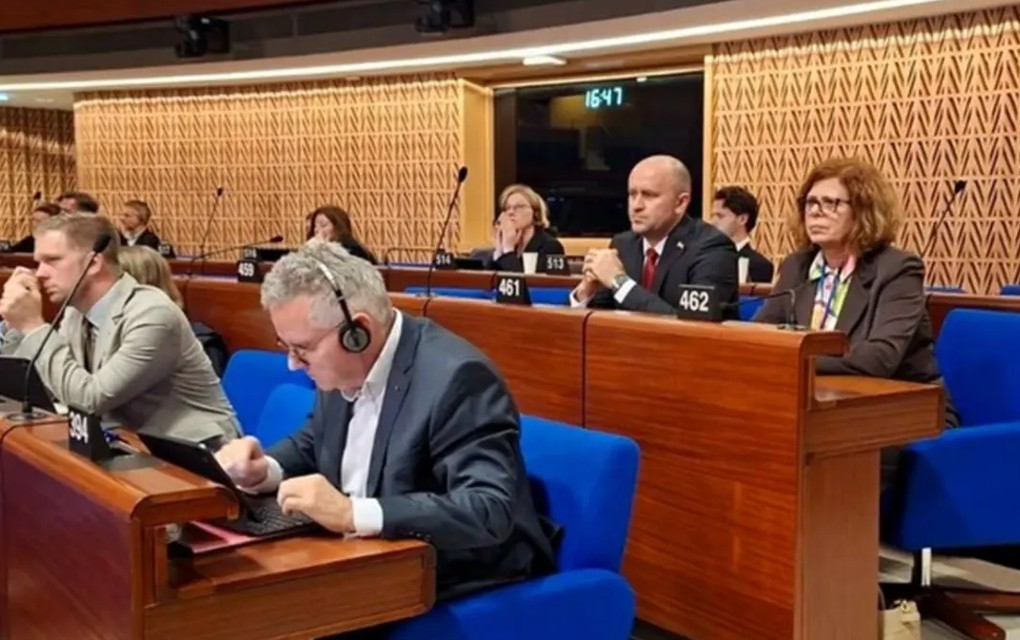 Zečević u Strazburu oštro kritikovao izveštaj: Tražimo pravičnost i poštovanje dejtonskih nadležnosti